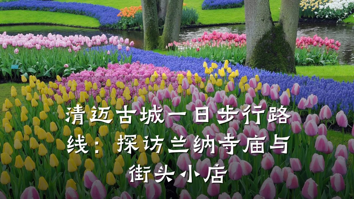 清迈古城一日步行路线:探访兰纳寺庙与街头小店