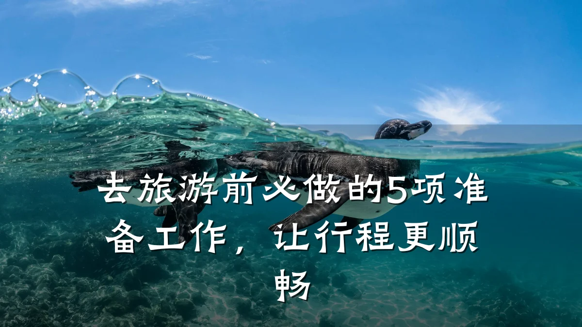 去旅游前必做的5项准备工作,让行程更顺畅