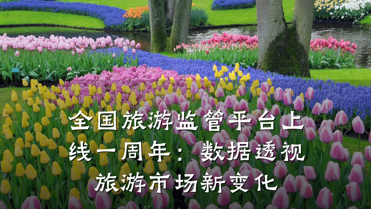 全国旅游监管平台上线一周年:数据透视旅游市场新变化