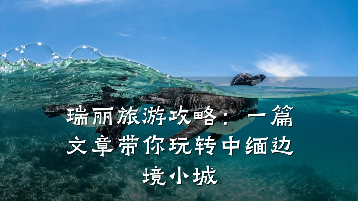 瑞丽旅游攻略:一篇文章带你玩转中缅边境小城