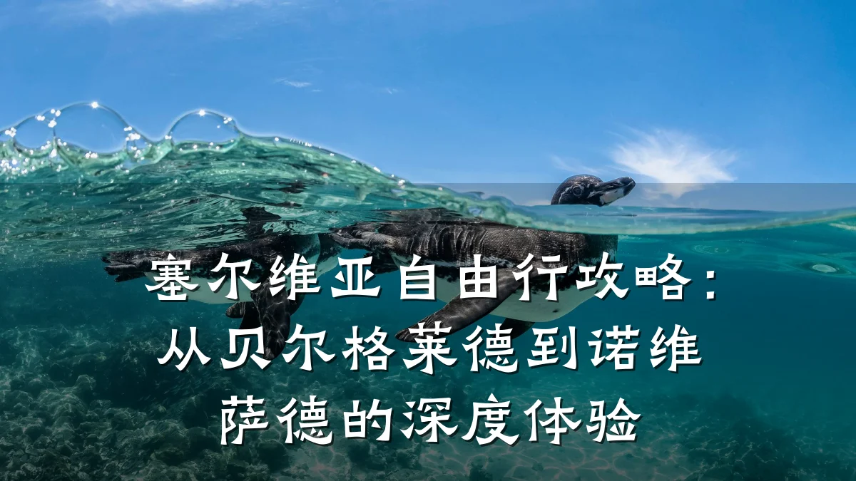 塞尔维亚自由行攻略:从贝尔格莱德到诺维萨德的深度体验