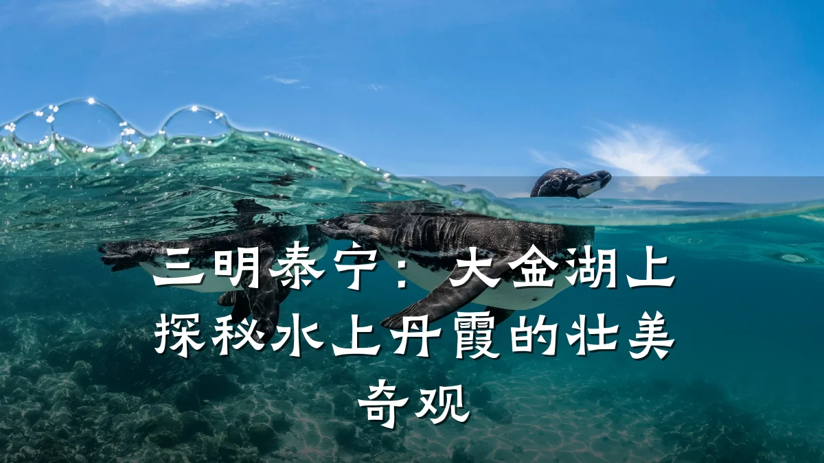 三明泰宁:大金湖上探秘水上丹霞的壮美奇观