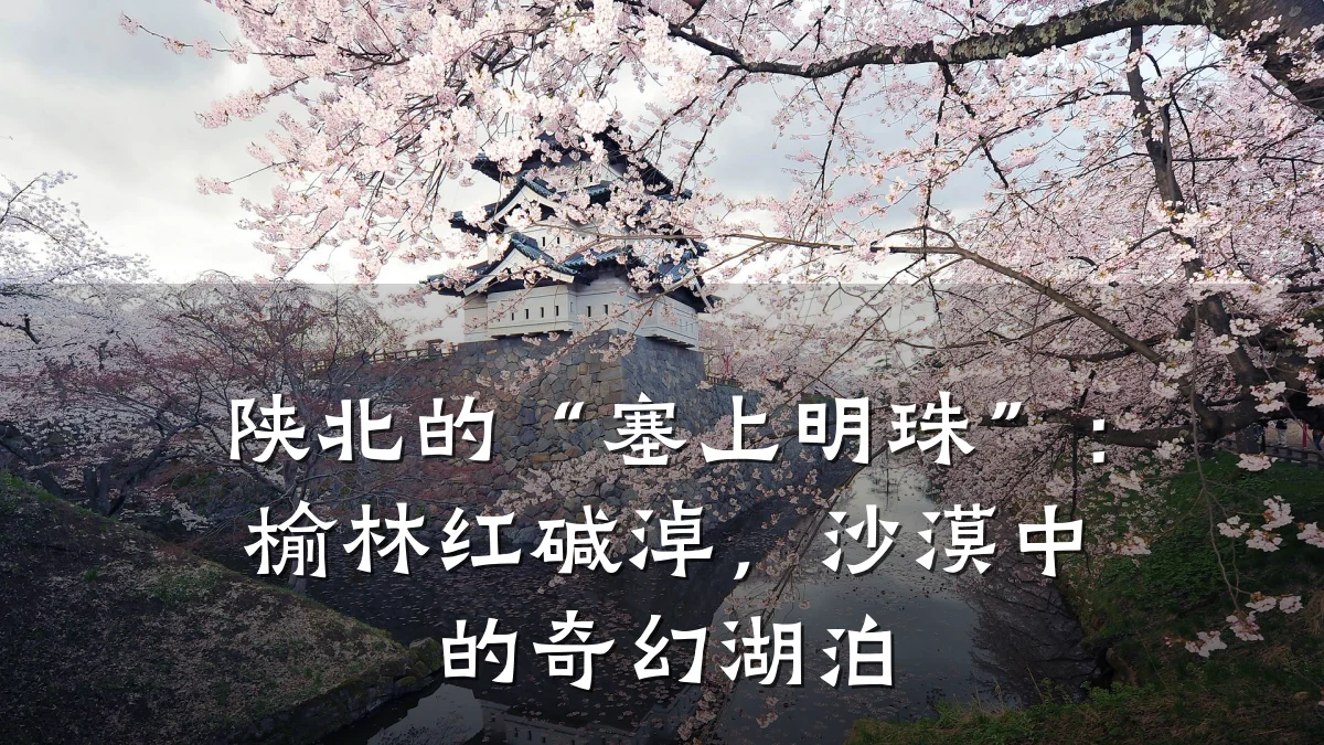 陕北的“塞上明珠”:榆林红碱淖,沙漠中的奇幻湖泊