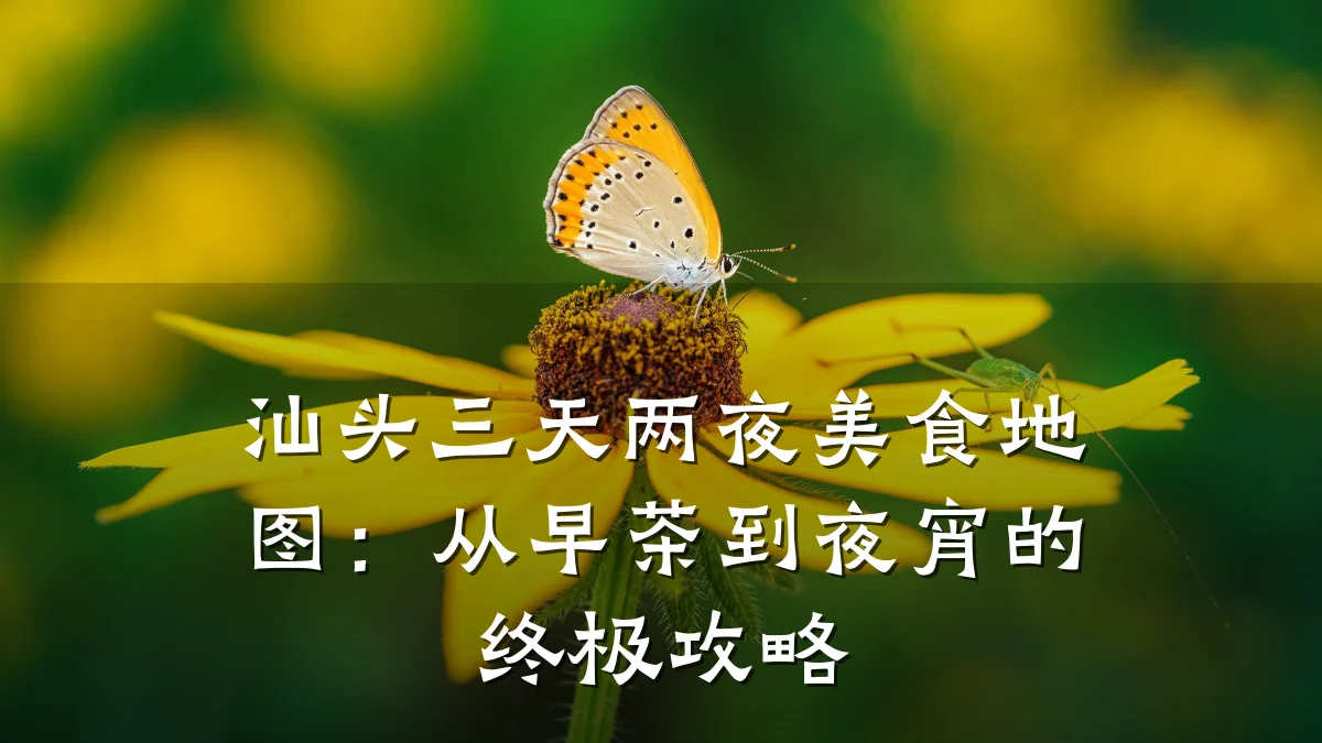 汕头三天两夜美食地图:从早茶到夜宵的终极攻略
