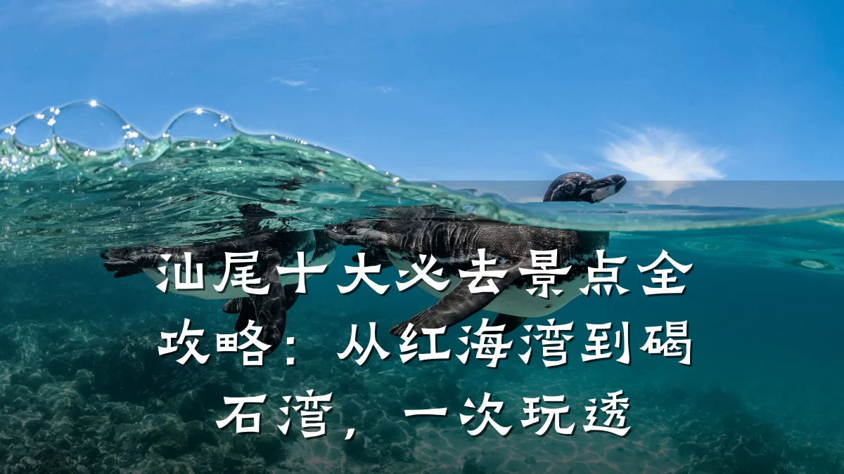 汕尾十大必去景点全攻略：从红海湾到碣石湾，一次玩透