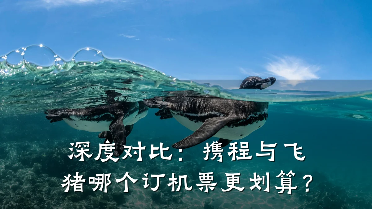 深度对比:携程与飞猪哪个订机票更划算?