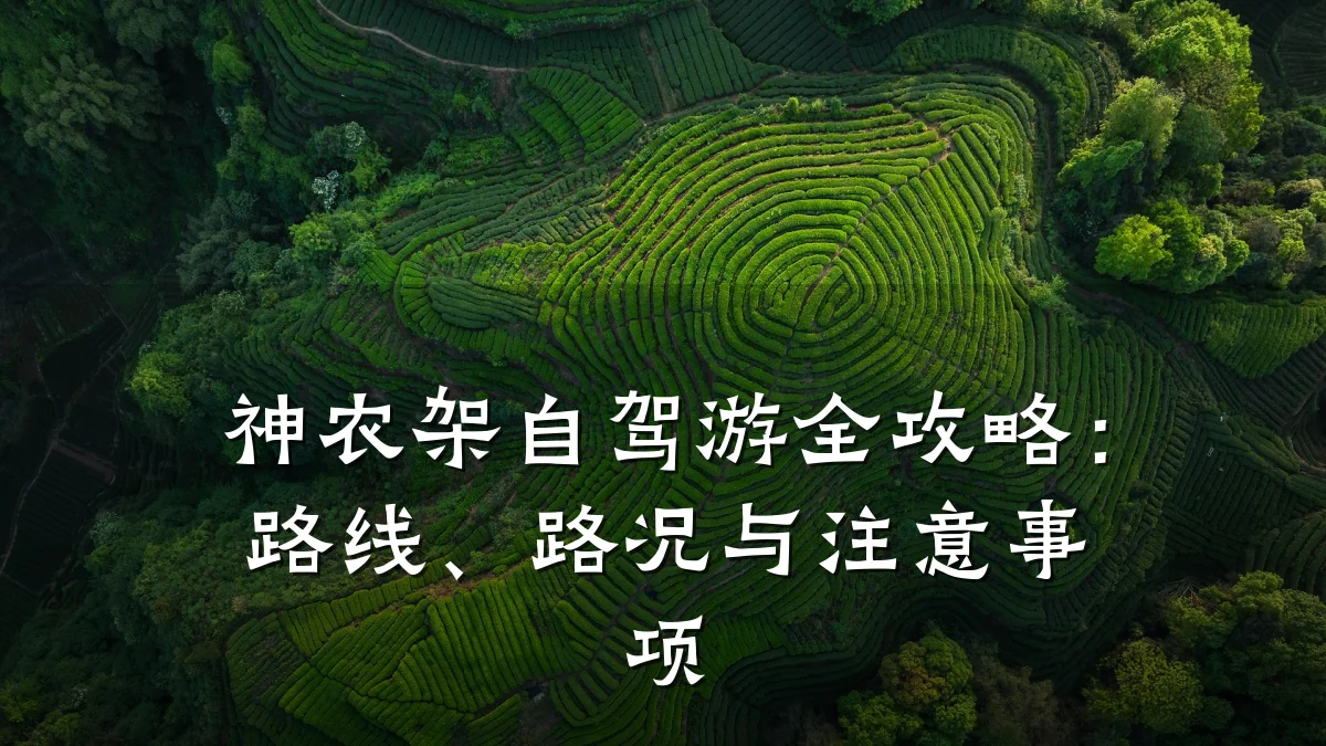 神农架自驾游全攻略:路线、路况与注意事项