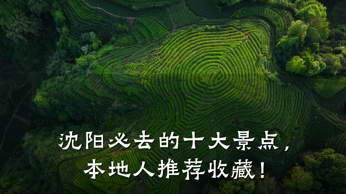 沈阳必去的十大景点,本地人推荐收藏!