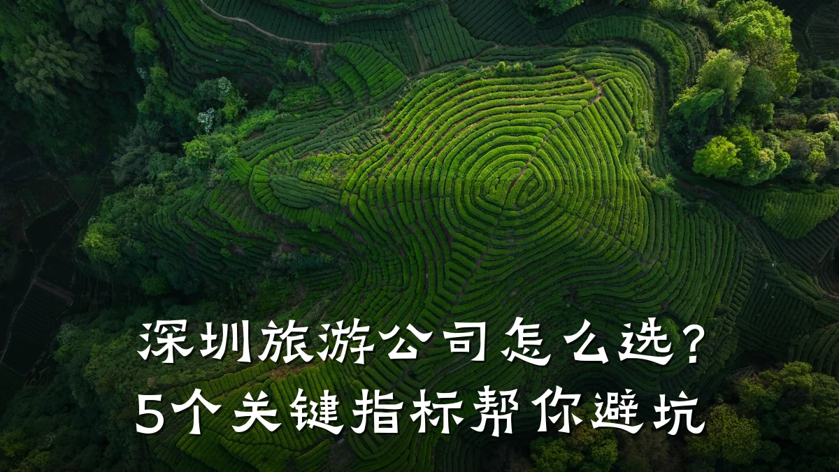 深圳旅游公司怎么选？5个关键指标帮你避坑
