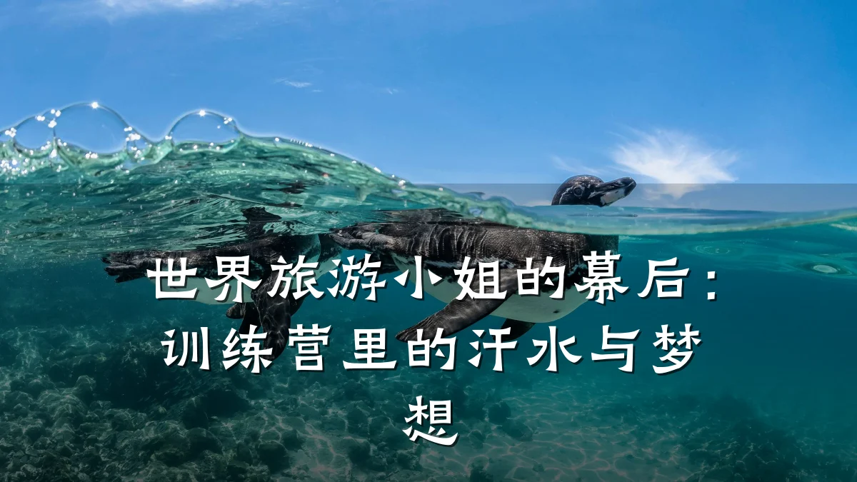 世界旅游小姐的幕后:训练营里的汗水与梦想
