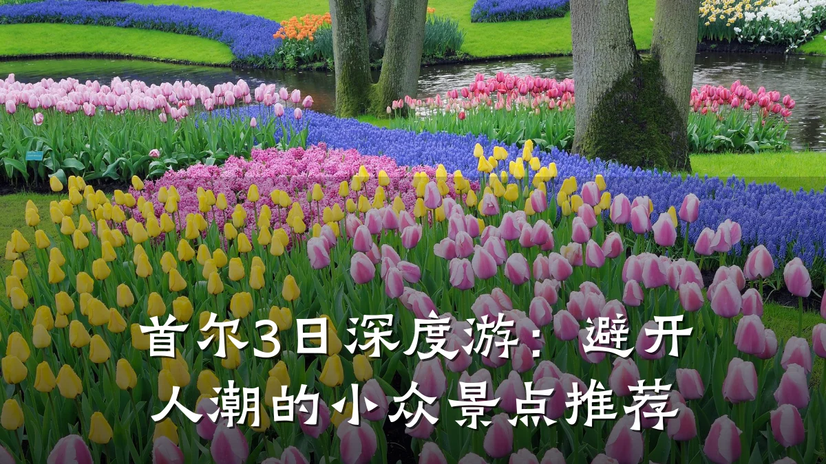 首尔3日深度游:避开人潮的小众景点推荐