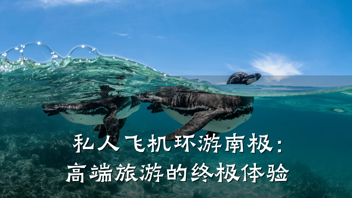 私人飞机环游南极:高端旅游的终极体验