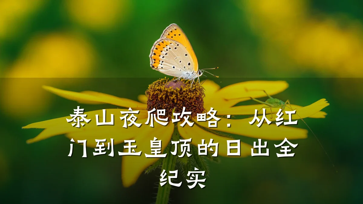 泰山夜爬攻略:从红门到玉皇顶的日出全纪实