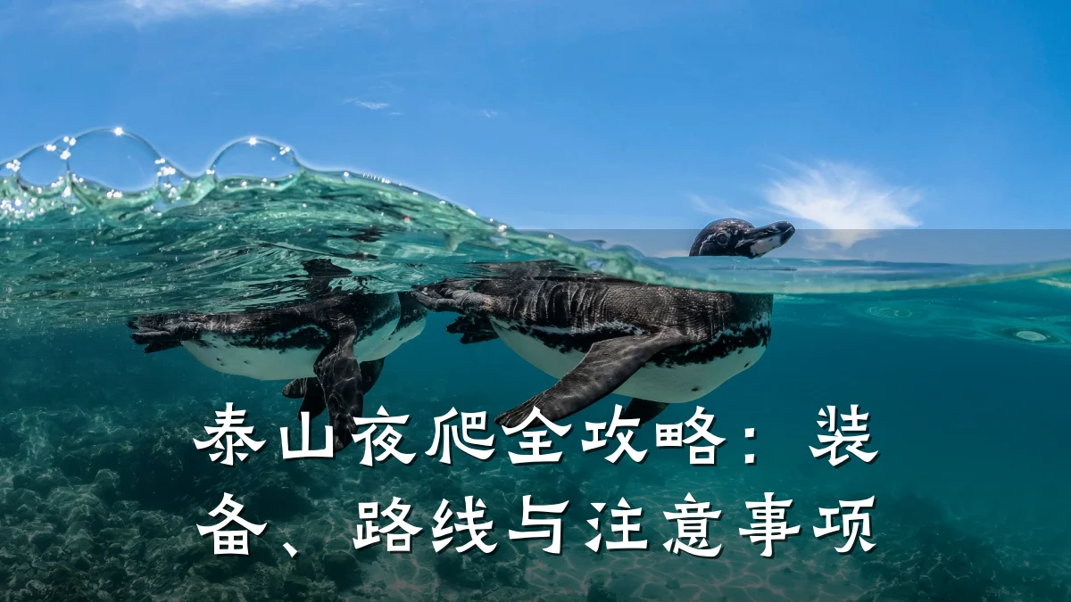 泰山夜爬全攻略:装备、路线与注意事项