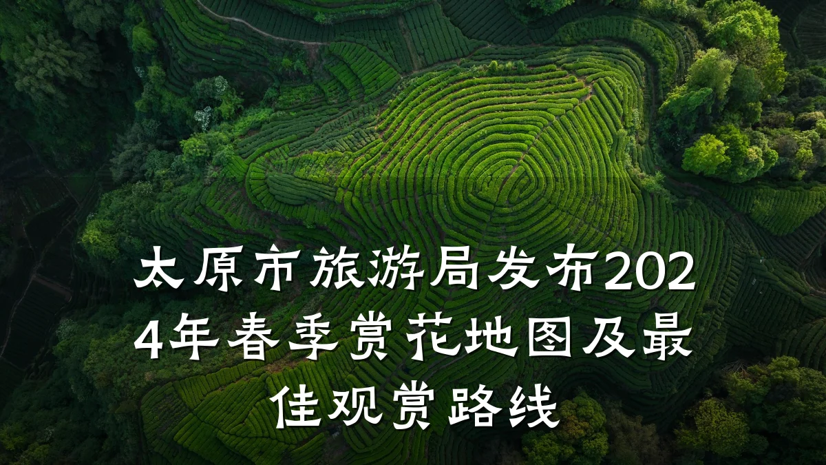 太原市旅游局发布2024年春季赏花地图及最佳观赏路线