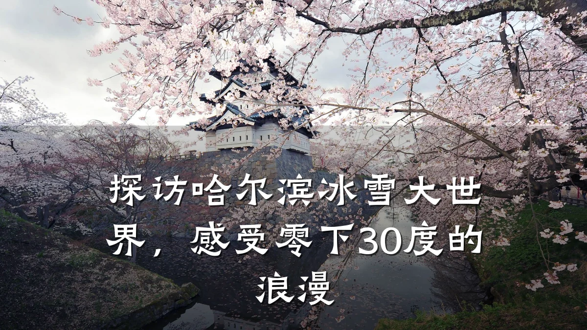 探访哈尔滨冰雪大世界,感受零下30度的浪漫