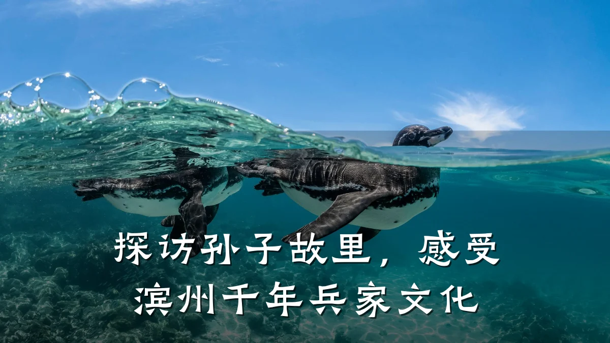 探访孙子故里,感受滨州千年兵家文化
