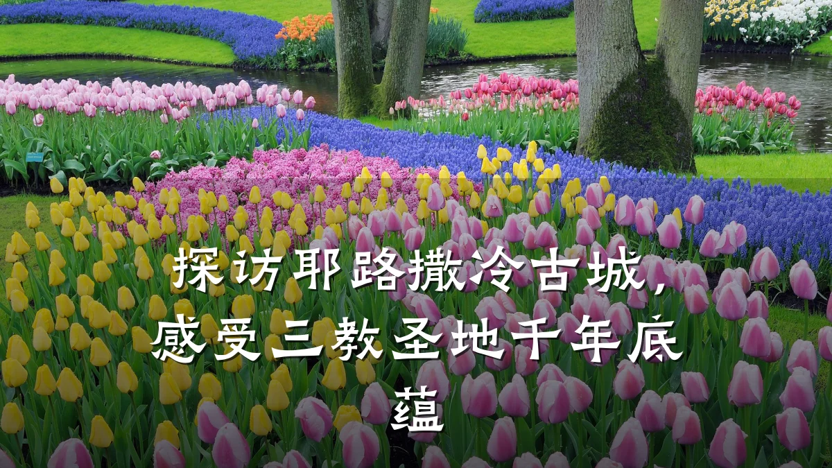 探访耶路撒冷古城,感受三教圣地千年底蕴