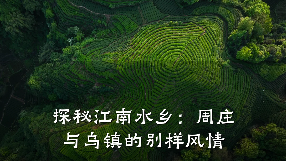 探秘江南水乡:周庄与乌镇的别样风情