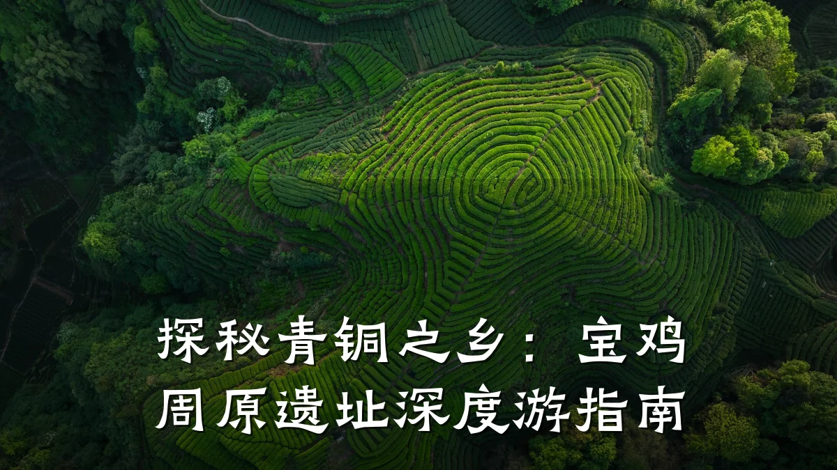 探秘青铜之乡:宝鸡周原遗址深度游指南