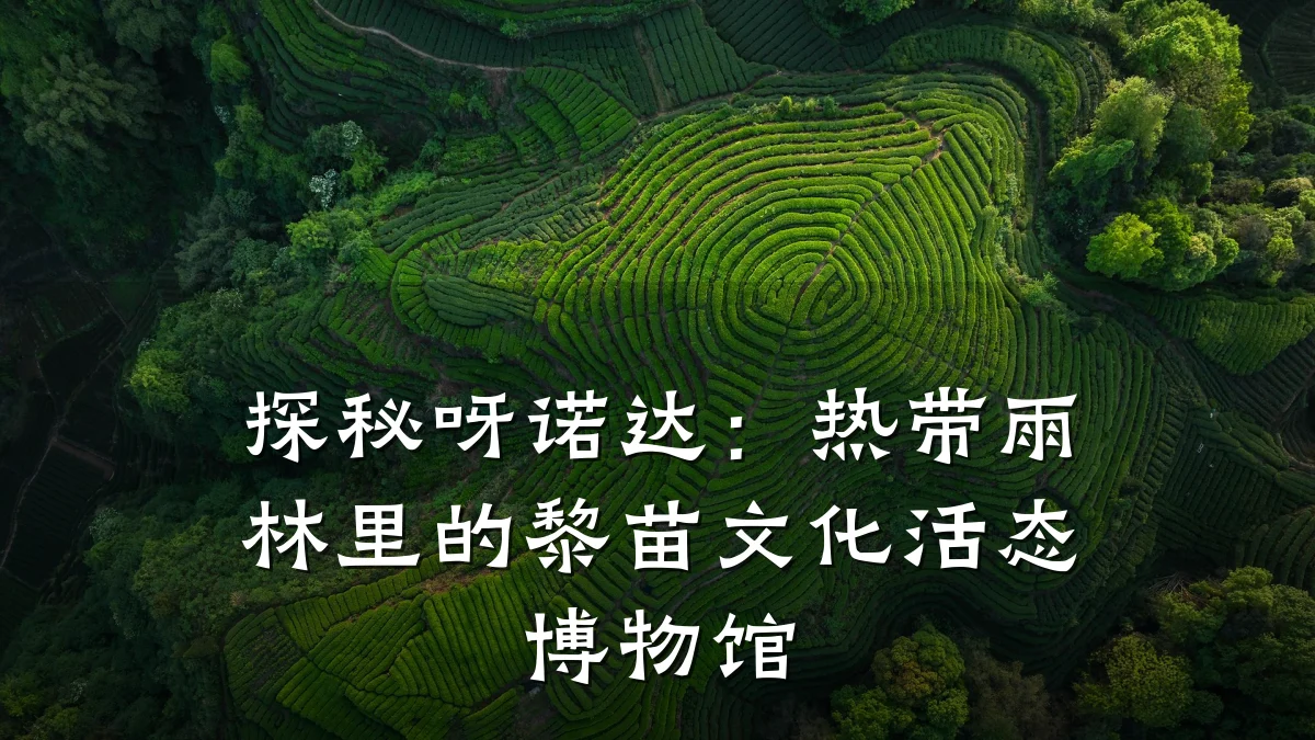 探秘呀诺达:热带雨林里的黎苗文化活态博物馆