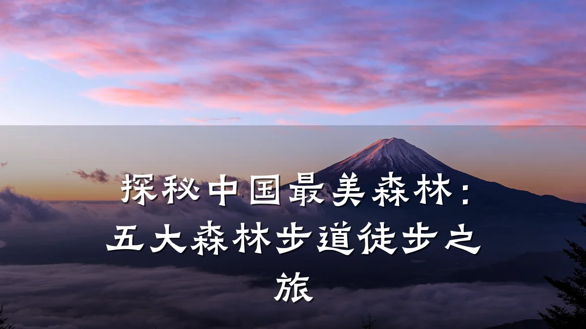 探秘中国最美森林:五大森林步道徒步之旅