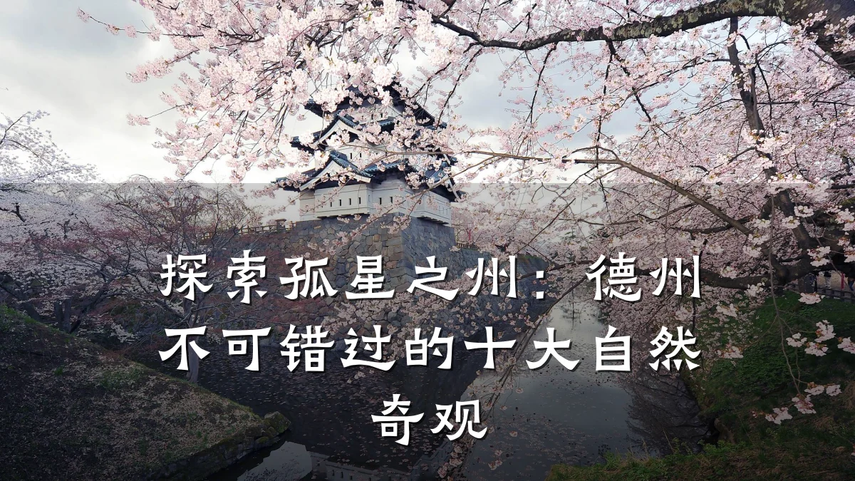 探索孤星之州：德州不可错过的十大自然奇观
