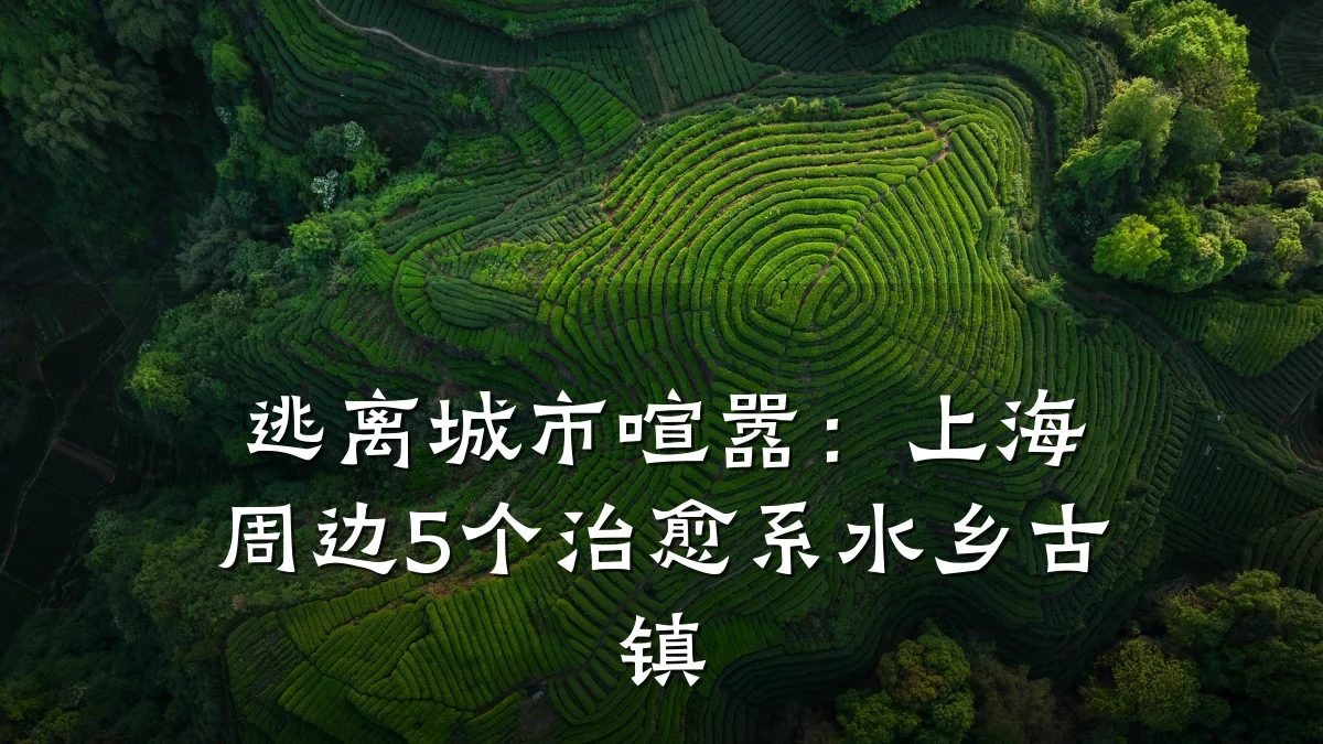 逃离城市喧嚣:上海周边5个治愈系水乡古镇