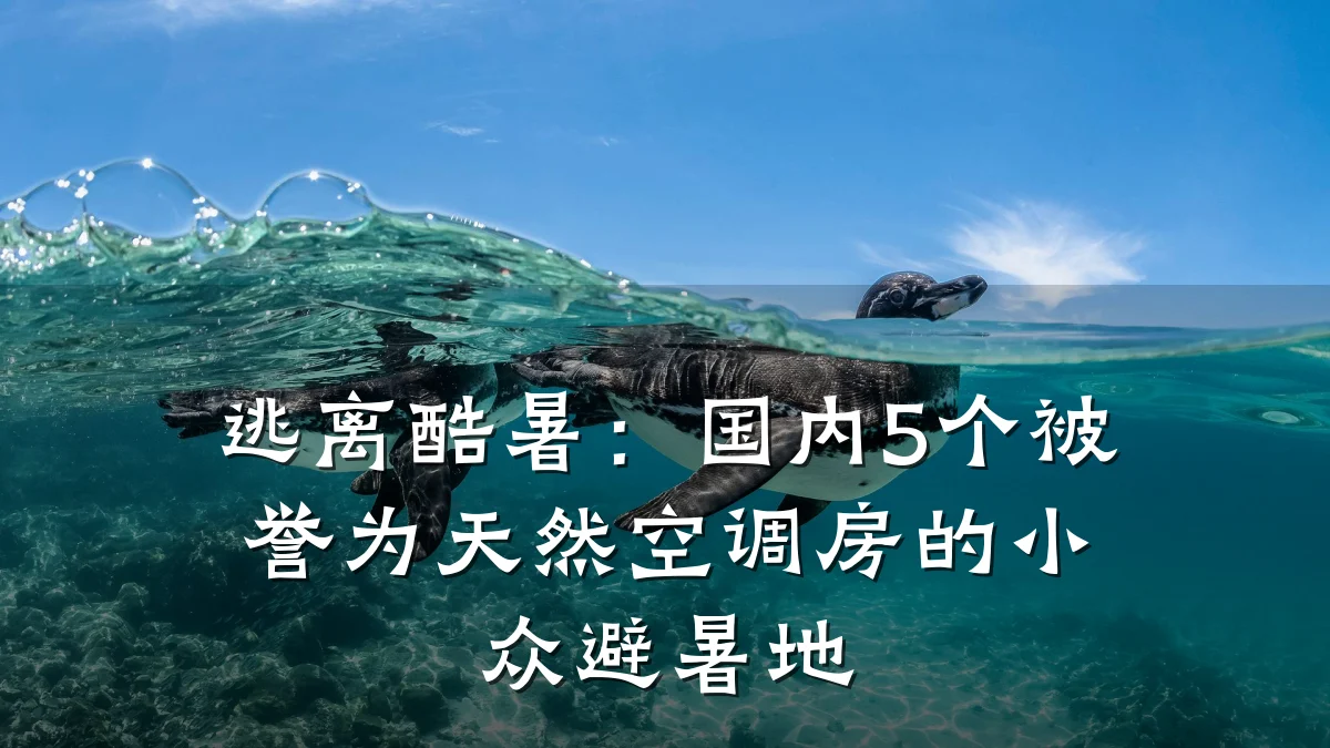 逃离酷暑:国内5个被誉为天然空调房的小众避暑地