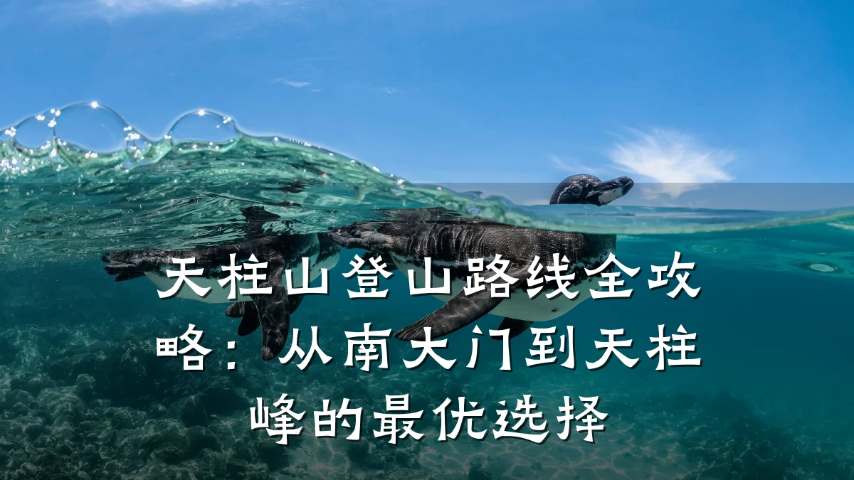天柱山登山路线全攻略：从南大门到天柱峰的最优选择