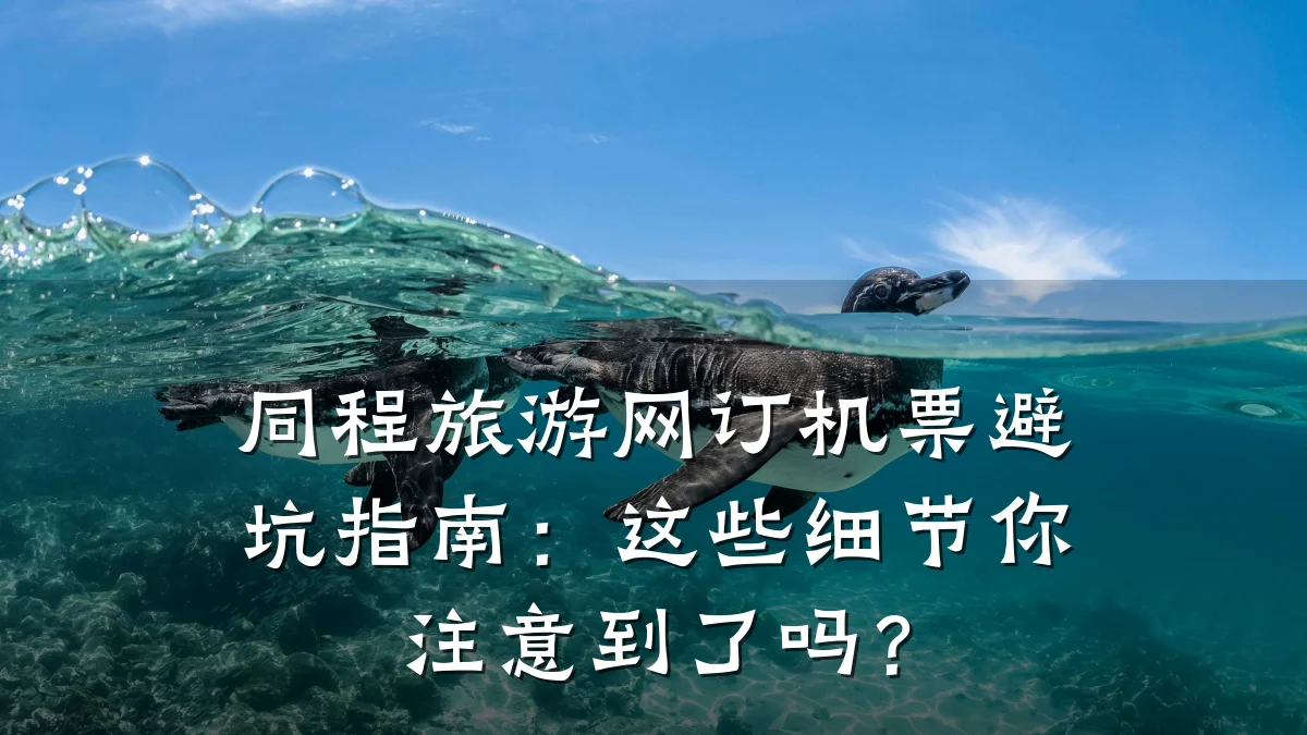 同程旅游网订机票避坑指南：这些细节你注意到了吗？