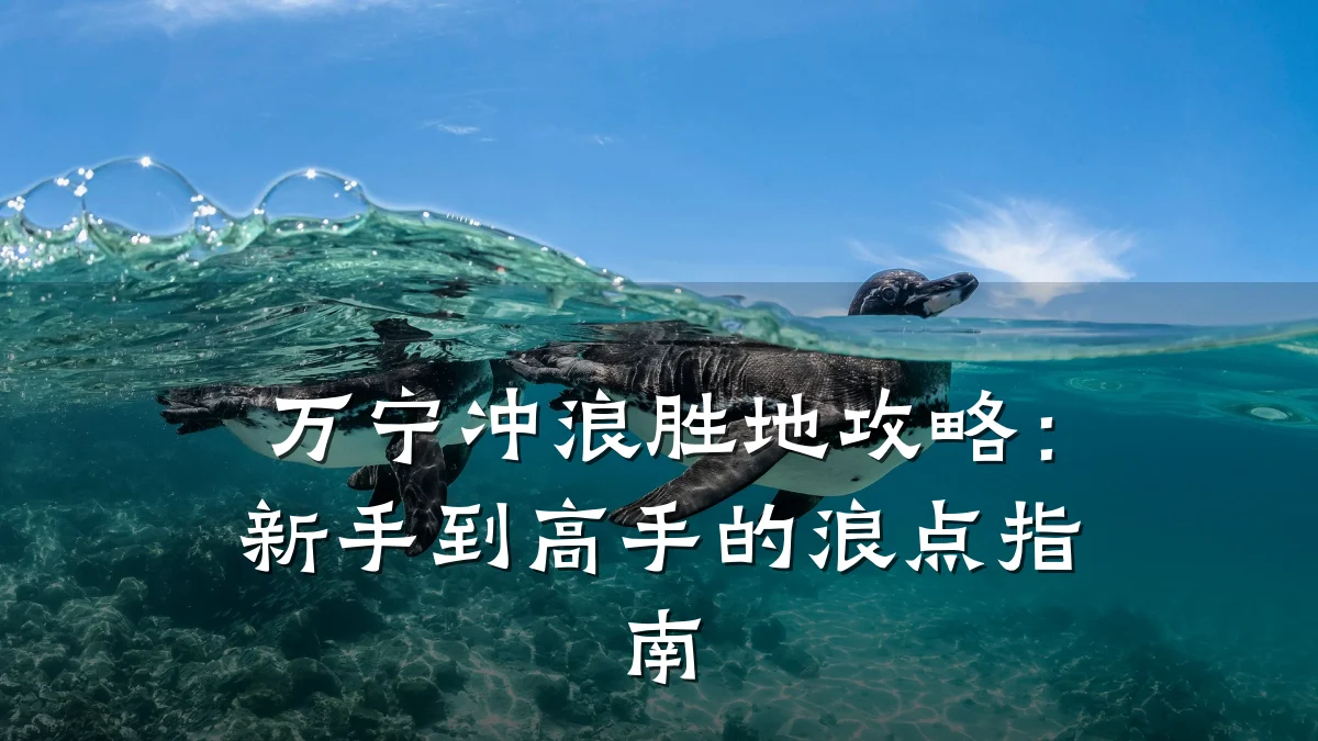万宁冲浪胜地攻略:新手到高手的浪点指南