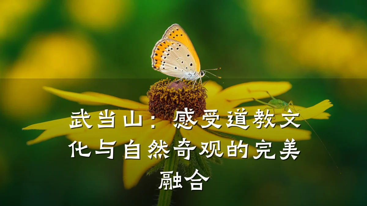 武当山：感受道教文化与自然奇观的完美融合