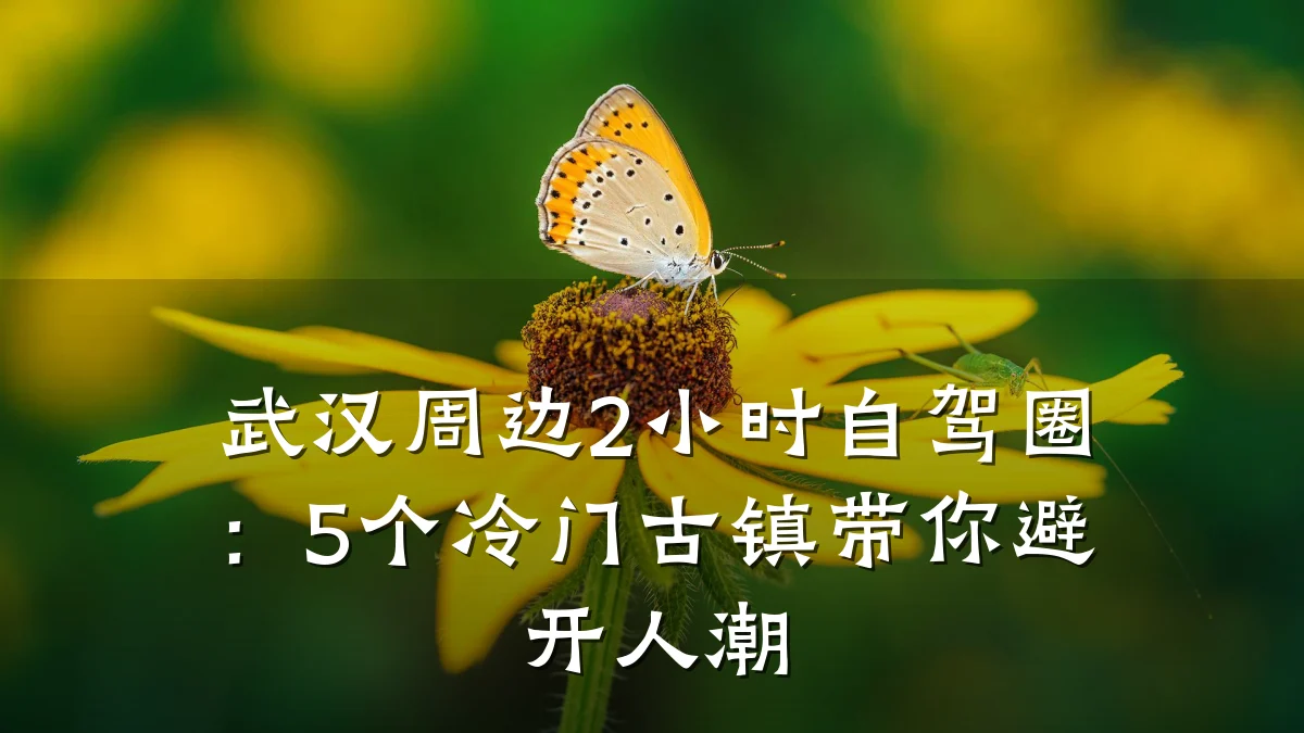 武汉周边2小时自驾圈：5个冷门古镇带你避开人潮