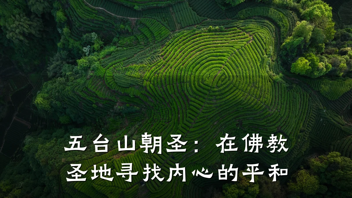 五台山朝圣:在佛教圣地寻找内心的平和