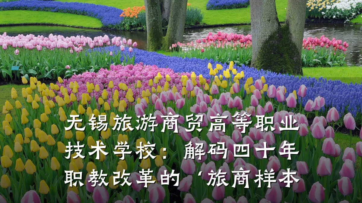 无锡旅游商贸高等职业技术学校:解码四十年职教改革的‘旅商样本