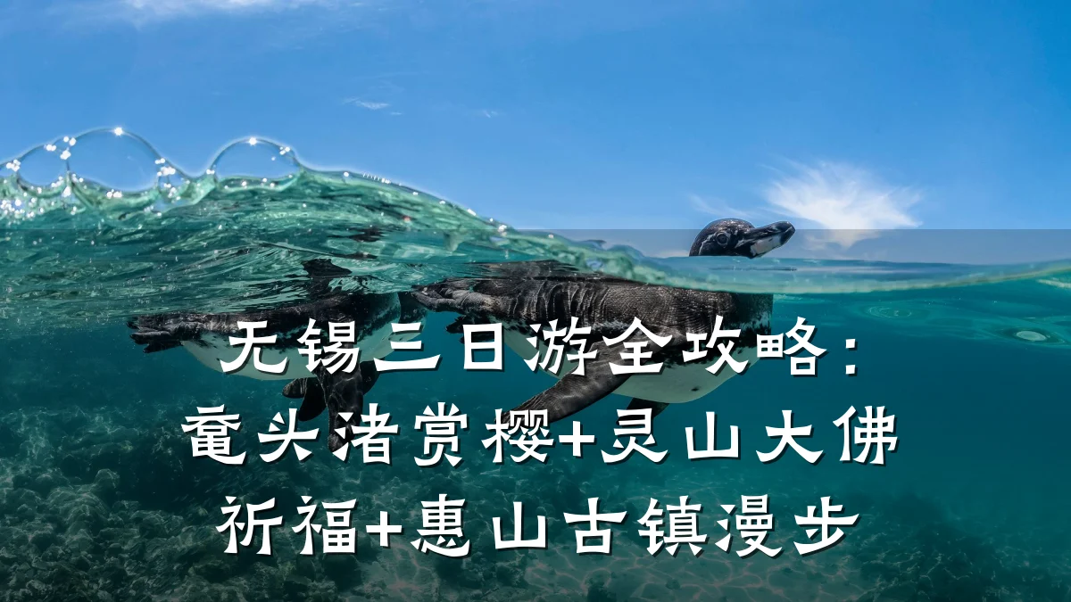 无锡三日游全攻略：鼋头渚赏樱+灵山大佛祈福+惠山古镇漫步