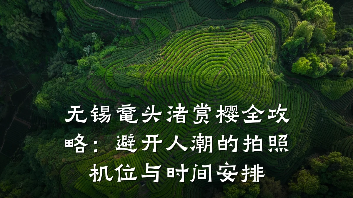 无锡鼋头渚赏樱全攻略:避开人潮的拍照机位与时间安排