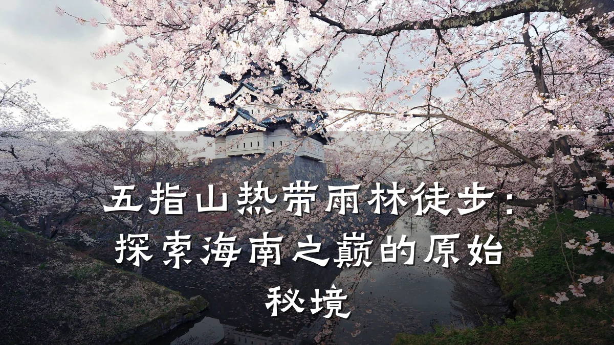五指山热带雨林徒步:探索海南之巅的原始秘境
