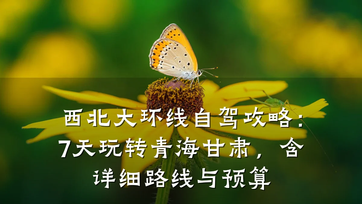 西北大环线自驾攻略：7天玩转青海甘肃，含详细路线与预算