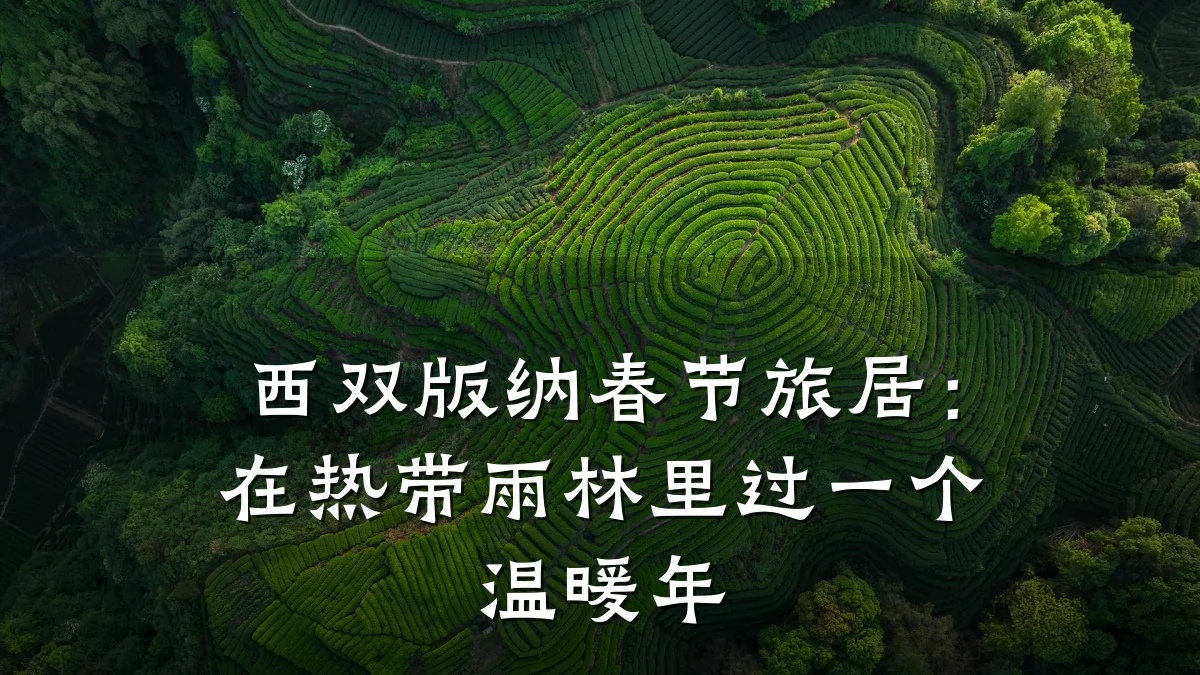 西双版纳春节旅居:在热带雨林里过一个温暖年