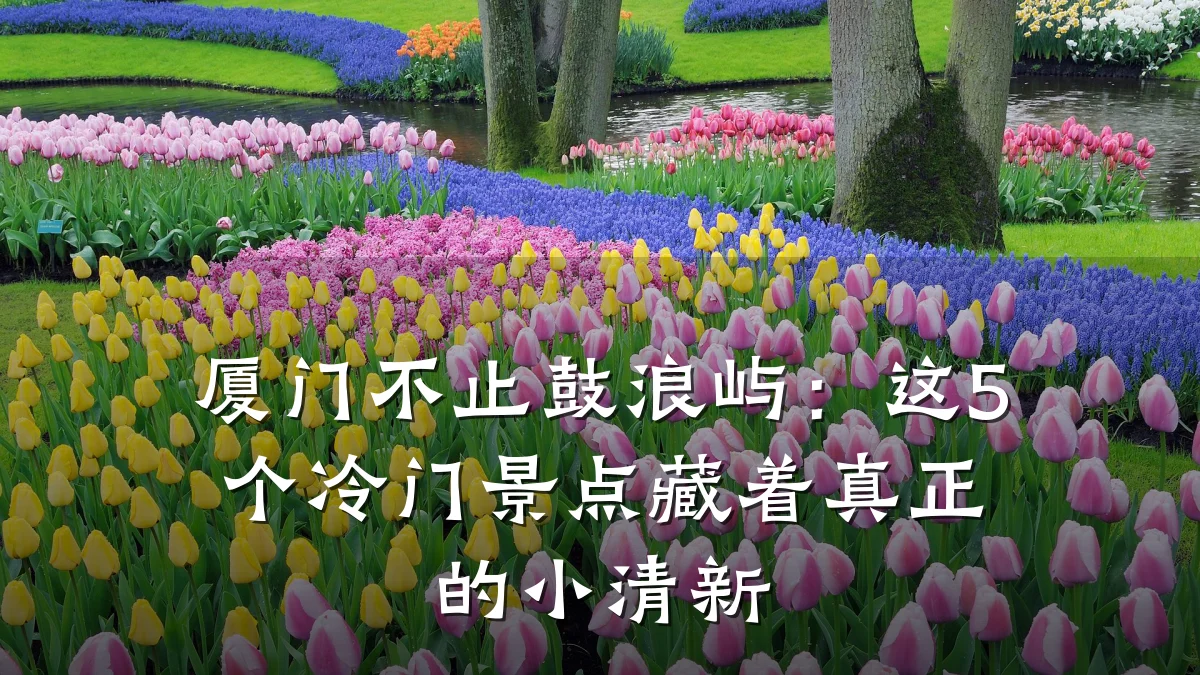 厦门不止鼓浪屿：这5个冷门景点藏着真正的小清新