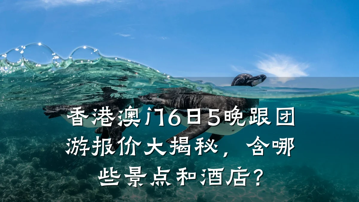 香港澳门6日5晚跟团游报价大揭秘,含哪些景点和酒店?