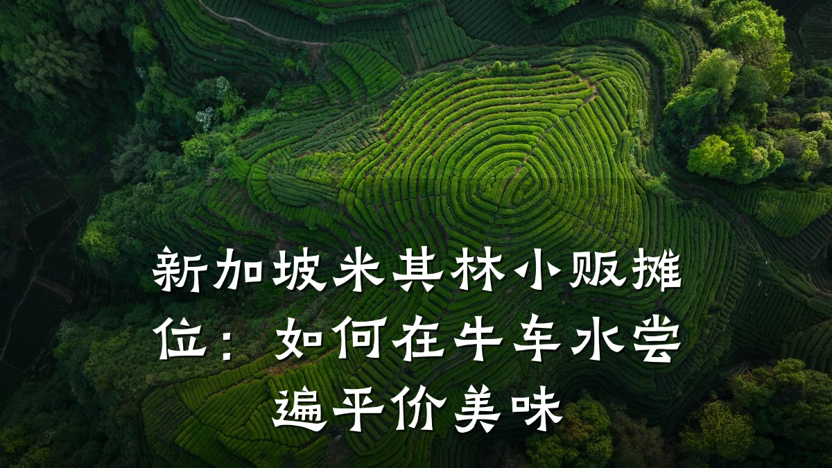 新加坡米其林小贩摊位:如何在牛车水尝遍平价美味