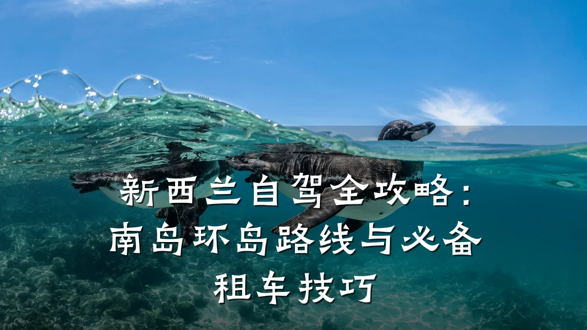 新西兰自驾全攻略:南岛环岛路线与必备租车技巧