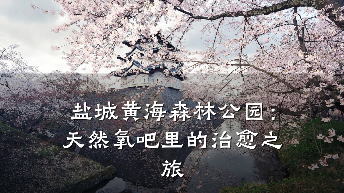 盐城黄海森林公园:天然氧吧里的治愈之旅