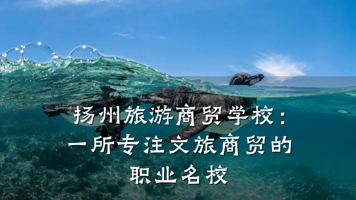扬州旅游商贸学校:一所专注文旅商贸的职业名校