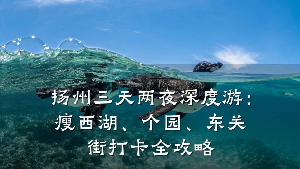 扬州三天两夜深度游:瘦西湖、个园、东关街打卡全攻略