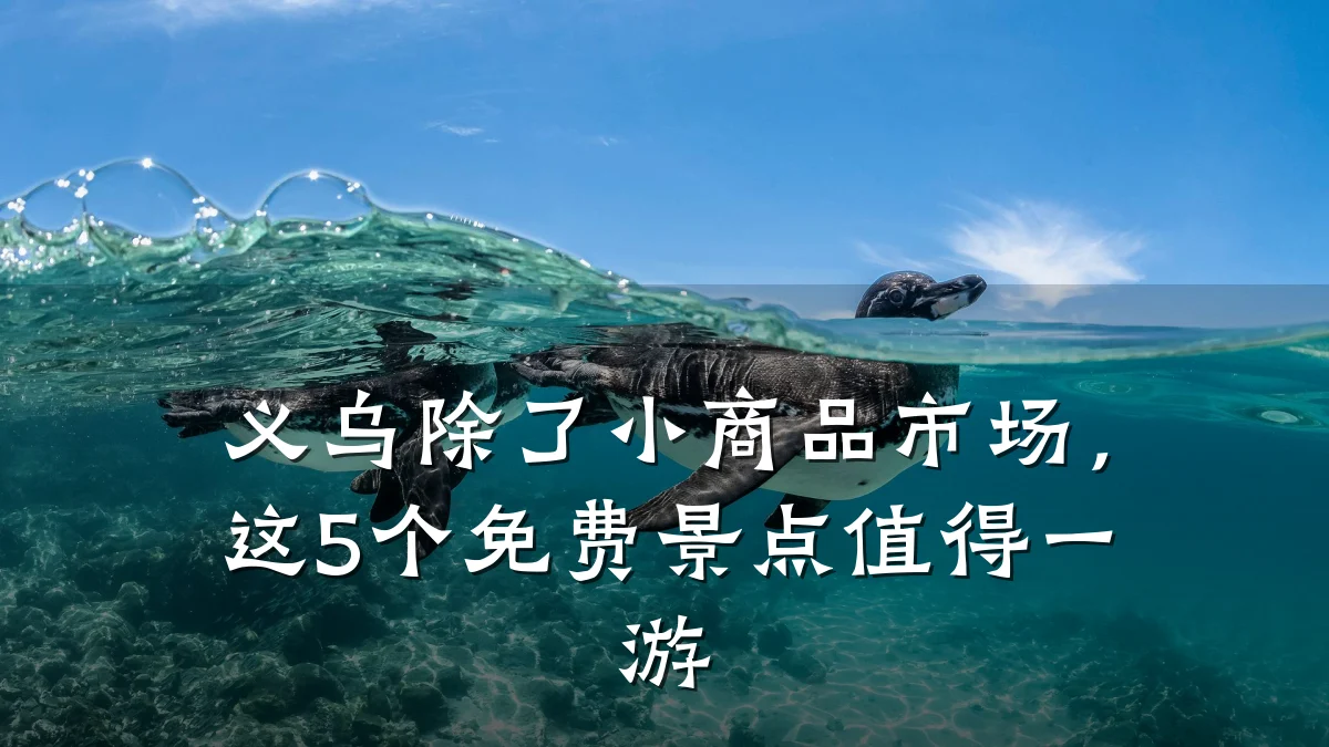 义乌除了小商品市场,这5个免费景点值得一游