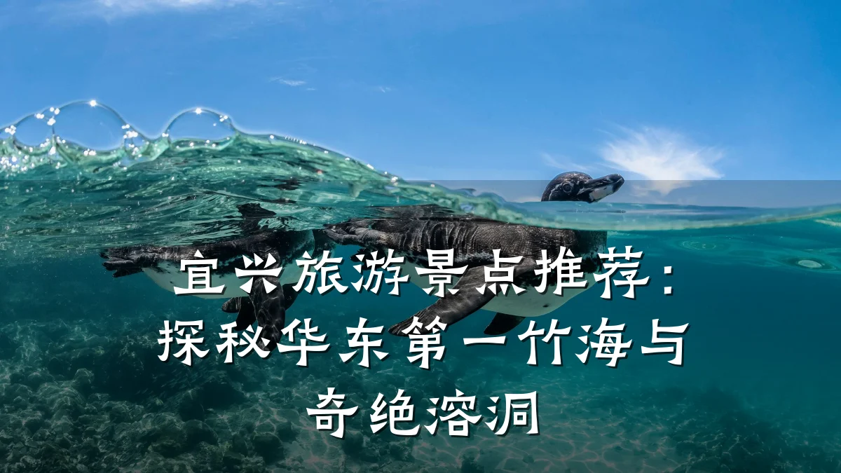 宜兴旅游景点推荐:探秘华东第一竹海与奇绝溶洞